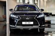 Lexus RX Executive