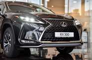 Lexus RX Business