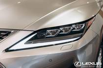 Lexus RX Luxury+