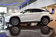 Lexus RX Luxury+