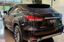 Lexus RX Business