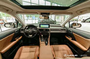 Lexus RX Luxury+