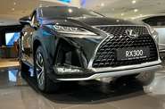 Lexus RX Business