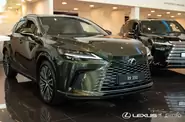 Lexus RX Executive