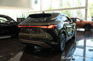 Lexus RX Executive