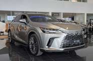Lexus RX Luxury
