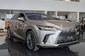 Lexus RX Luxury
