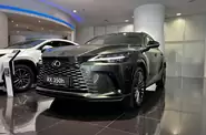 Lexus RX Luxury
