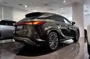 Lexus RX Luxury
