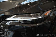 Lexus RX Luxury