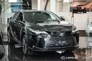 Lexus RX Luxury
