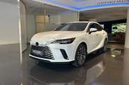 Lexus RX Premium