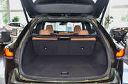 Новый Lexus RX 350 AT (279 к.с.) AWD Executive 2025 автосалона Лексус Одеса - фото 14
