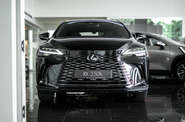 Lexus RX Luxury