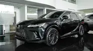 Lexus RX Luxury