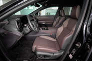 Lexus RX Luxury