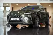 Lexus RX Premium