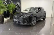 Lexus RX Executive
