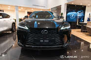 Lexus RX Executive