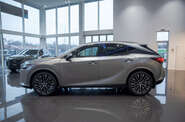 Lexus RX Executive