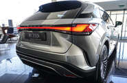 Lexus RX Luxury