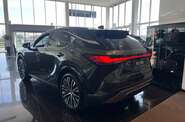 Lexus RX Premium