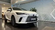 Lexus RX Premium