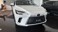 Lexus RX Luxury