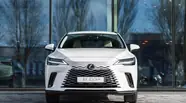 Lexus RX Luxury