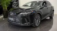 Lexus RX Executive