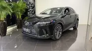 Lexus RX Executive
