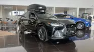 Lexus RX Luxury