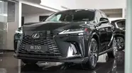 Lexus RX Executive