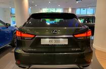 Lexus RX Business