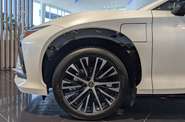 Lexus RZ Luxury