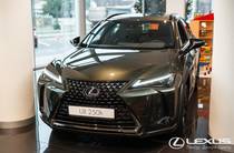 Lexus UX Launch