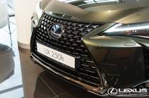 Lexus UX Launch