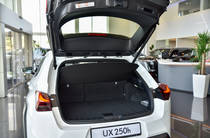 Lexus UX F Sport Design