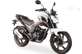 Lifan JR 2025 Base
