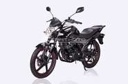 Lifan LF150-2E Base