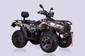 Новый Linhai LH300-D EFI Promax 22 к.с. Base 2024 автосалона Artmoto Київ Правий Берег - фото 4