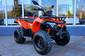 Новый Loncin XWOLF 200 15 к.с. Base 2024 автосалона АртМото Кременчук - фото 8