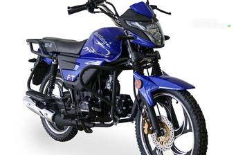 Musstang Dingo 2024 Base 125