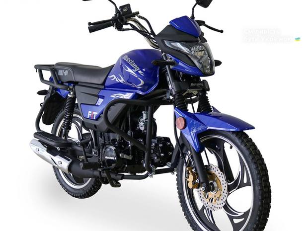 Musstang Dingo 2024