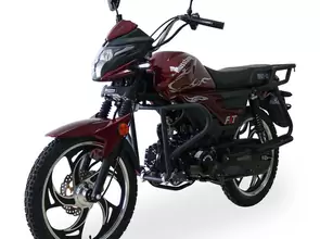 Musstang Dingo
