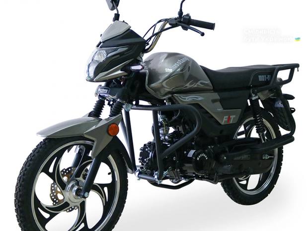 Musstang Dingo 2024