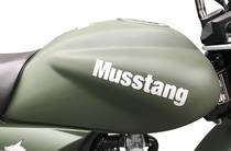 Musstang Dingo Base