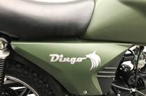 Musstang Dingo Base