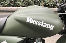 Musstang Dingo Base