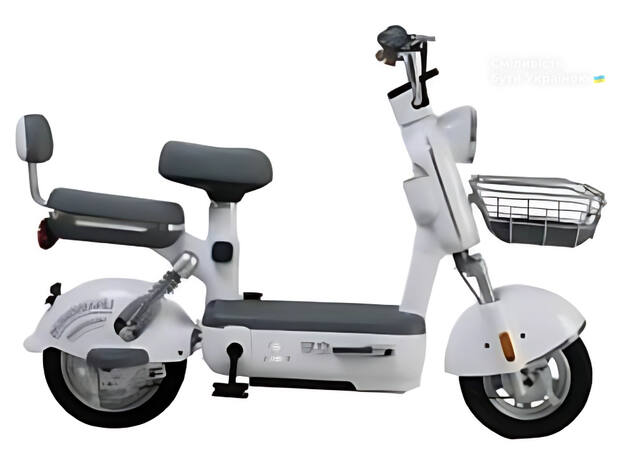 NISA Cute 2025